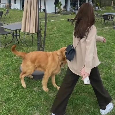 少年男仆库洛